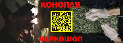 сатива Краснознаменск
