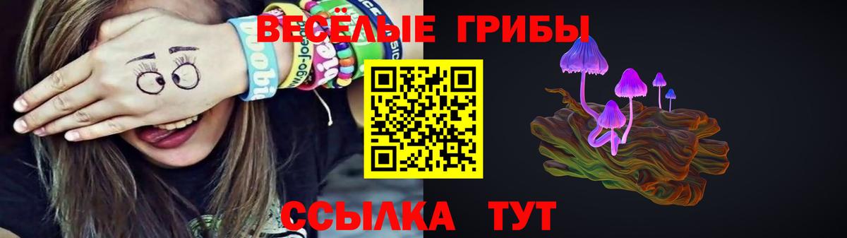 Псилоцибиновые грибы Psilocybine cubensis  Вход с VPN  Канаш 